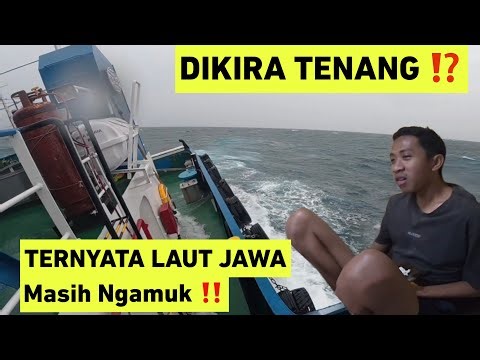 WHILE THOUGHT IT WAS CALM, IT TURNS OUT THE JAVA SEA IS STILL RAGEOUS ‼️