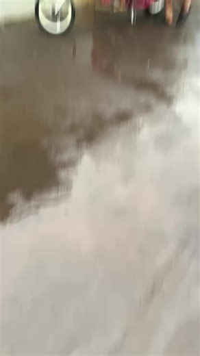 bntas probestalo (@bentasprobestalo)’s videos with suara asli - kanin