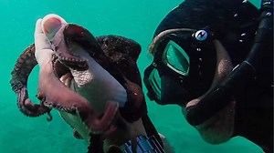 21 of the Most Interesting Documentaries To Watch With the Kids