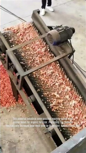 Heavy Duty Animal Bone Crusher Machine Recycles Waste Into Meal