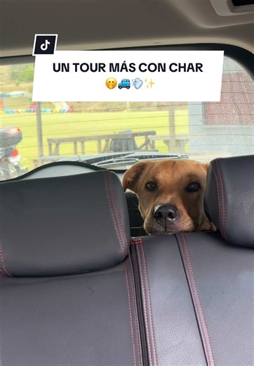 Un Tour Más con Char en Costa Rica