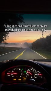 Smol Pimpin knows whats up #lexus #ls430 #v8 #ucf30 #cats #cat #subwoofer #bass #bassboosted #home #driving #drive | LS LS Fourthirty