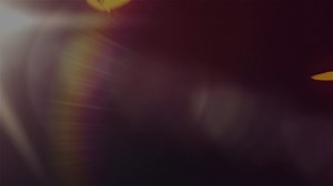 AE Template: Butterfly Logo Reveal SBV-337887238 - Storyblocks