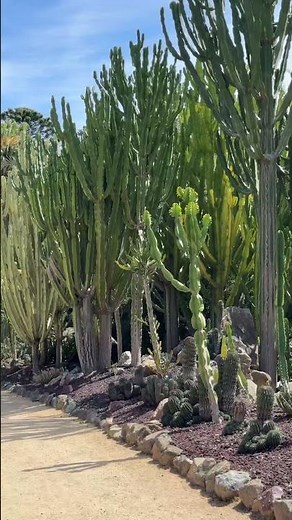 Discover the magic of Ganna Walska Lotusland in Montecito