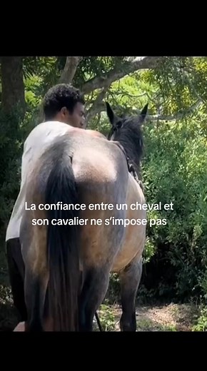 100% made in newcal une belle vidéo sur l'apprentissage mutuel entre un cheval et son cavalier. Merci à redbull et à Dowia Whala-windi Nixûwmâàk Kmc pour cette sublime vidéo ❤️ #dressage #NouvelleCalédonie #chevaux | Foire de Bourail