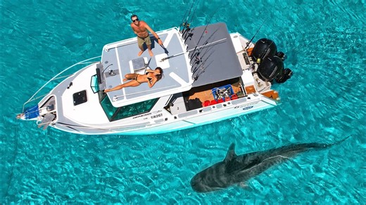 Encounter with a Massive Tiger Shark at a Remote Island
