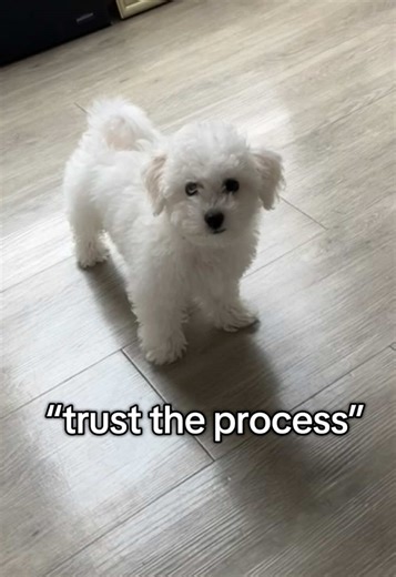 Percy's Glow-Up Transformation Journey