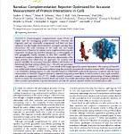 For Protein Complementation Assays, Design is Everything - Promega Connections