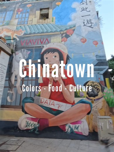Exploring Chinatown in Buenos Aires: A Cultural Experience