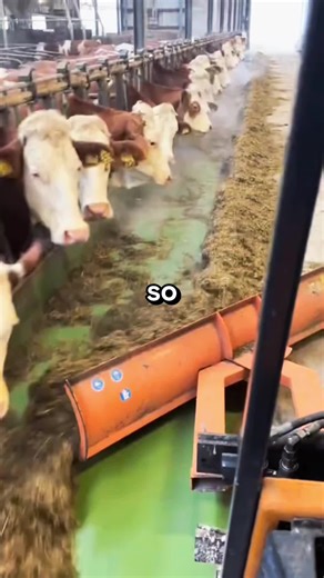 Exploring Reddit's Most Engaging Questions