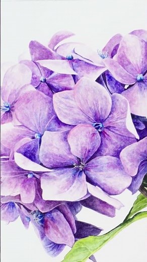 Hydrangea painting tutorial tour
