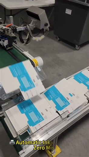 📦 Automatic Carton Vacuum Feeding & Coding Machine | 🔢 Counting Conveyor | Industrial Automation