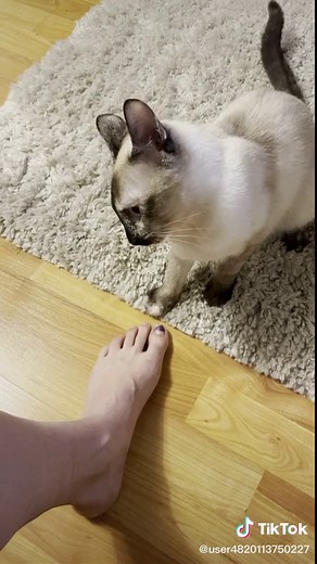 user4820113750227 on TikTok