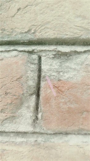 The science and art of Bricks wall #nature