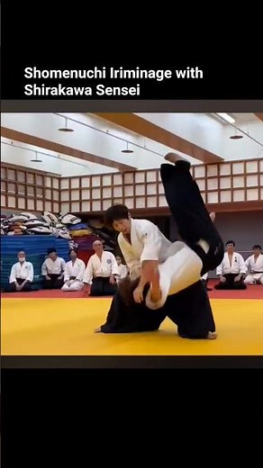 合気道講習会紀錄part.2／白川竜次師範（Aikido Seminar Record Part 2 / Shirakawa Ryuji Shihan.) #aikido #合気道興流会