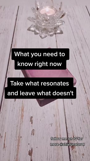 JamieLunaKatrina on TikTok