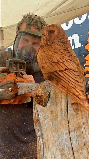 Chainsaw Carving an Owl Out of a Log in 60 Seconds 🪵🦉 #shorts