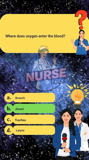 "Where Does Oxygen Enter the Blood? | Basic Human Anatomy -- Respiratory System Explained"