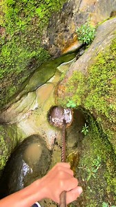 35K views · 97 reactions | The discovery of rare gold fossils falling from the sky | Afri Discovery | Facebook