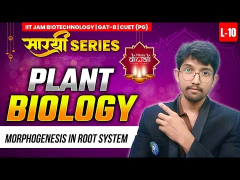 Morphogenesis In Root System | Plant Biology | IIT JAM BT | GATB | CUTE PG | सारथी SERIES |L10 |IFAS