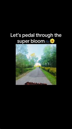 Riding through the incredible super bloom at Shelby Park in East Nashville. #wildflower #superbloom