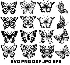 Butterfly SVG | Detailed Butterfly Cut File | Cricut & Silhouette Design | Insect Silhouette | Clipart for Crafts - Etsy Canada