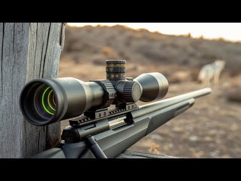 Top 7 Scopes for Coyote Hunting in 2025 – See Clearly, Shoot Better!