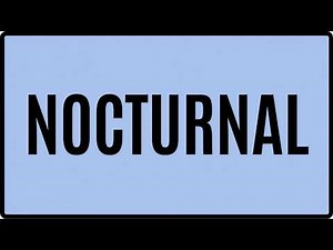 NOCTURNAL Meaning in English | Definition, Examples, Synonyms & Usage | Mission Vocab