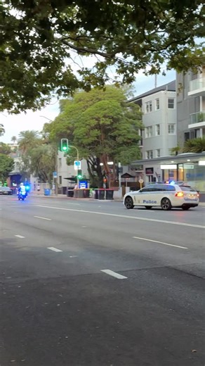 The Racing Lines | I thought NSW police had retired all of their Holden Commodores? 👀🇦🇺 There were 16 cars, including an armoured Chevrolet, about the same... | Instagram