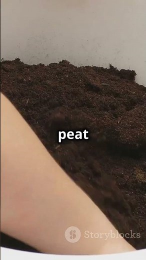 How to Balance Soil pH for Indoor Plants (A Complete Beginner's Guide)