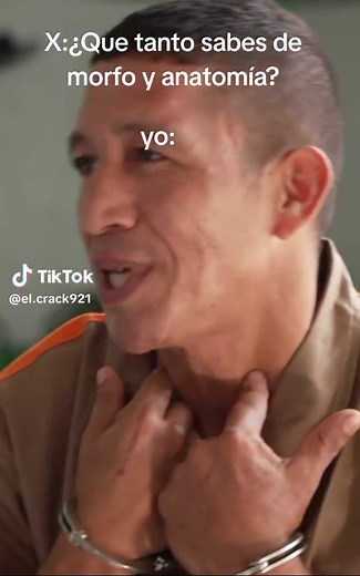 Conocimientos Avanzados de Morfología y Anatomía