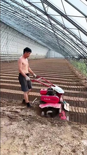 Efficient Greenhouse Soil Preparation: Making Raised Beds with Mini Tillers