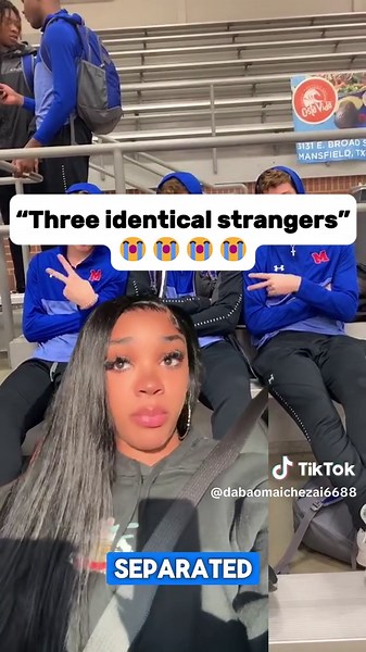 Three Identical Strangers Documentary Story