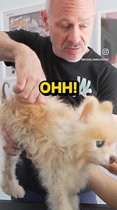 Animal Cracker on Reels