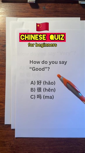 100 Essential Chinese Phrases PDF