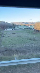 Short little JBF, but it’s only a short little hill into Alexandra. So this means we are here for the Alexandra Truck Ute & Rod Show check us all out at site 2. We have the whole Kendall Family here and the Truckin' Life crew. #JakeBrakeFriday | Kendall Trucking & Co