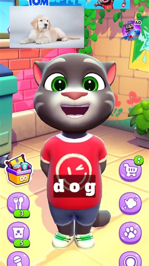 Let's study with Tom | level -1