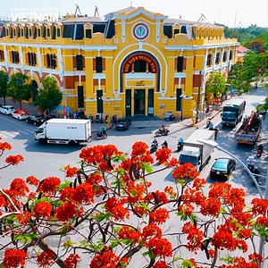 Hai Phong - The City of Phoenix Flower 😍🌺🌺🌺 | Amazing Things in Vietnam