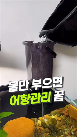 어항 물보충 이렇게 합니다 #수초어항 #어항관리 #수족관