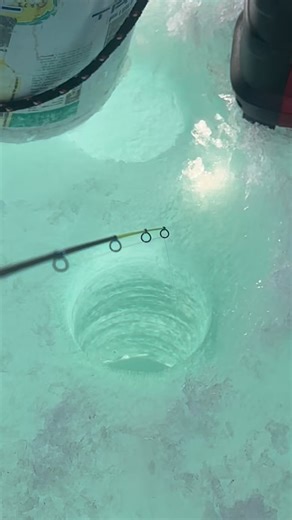 Tactical Fishing Gear | Walleyes are all about cadence 🎣 When you’re fishing a jigging-style bait, it’s not just what you fish — it’s how you fish it. 👉 The... | Instagram