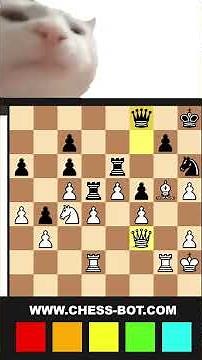 How To Cheat at Chess.Com (blitz and bullet)