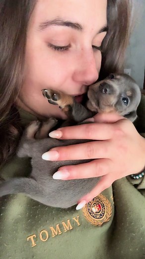 Il dolce cucciolo che conquista i cuori