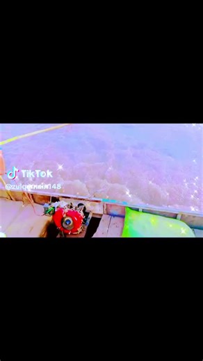 Ali farmer on TikTok