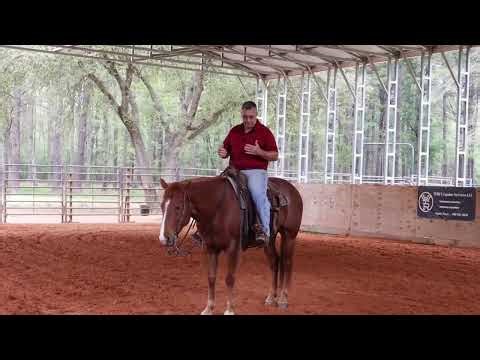 Become a better rider (surprise at the end!)