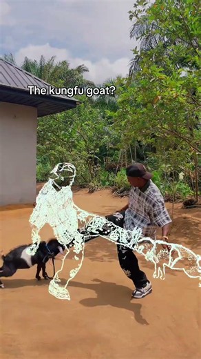 The martial art goat 😂