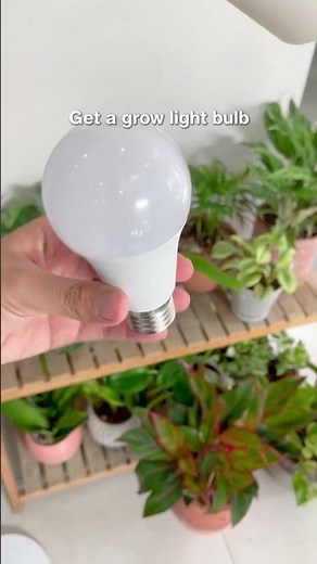 Easy DIY grow light for everyone #plants #growlight #diy #plantcare #houseplants