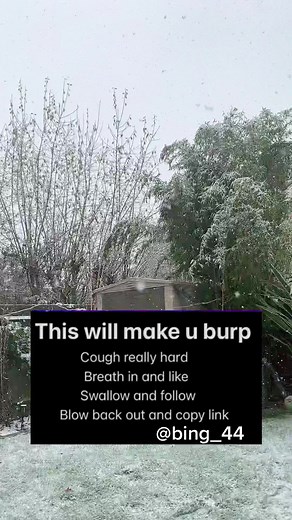 Serene Winter Landscape in a Snowy Garden