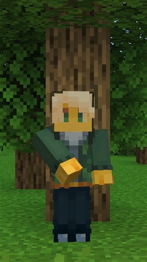 Minecraft Bedrock Vs Minecraft Java !