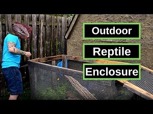 Outdoor Enclosures | How to Keep Your Reptiles Outside