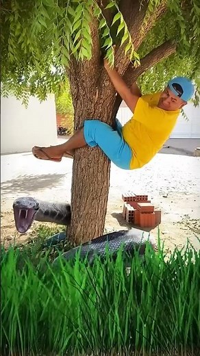 Epic Snake Prank on Friends 😱 Funny Reactions Guaranteed!